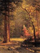 Albert Bierstadt Dogwood by Albert Bierstadt Germany oil painting artist